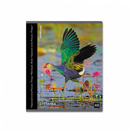 Цена за 5 шт. Тетрадь общая ученическая ErichKrause Энциклопедия, Красная книга России. Птицы, 48 листов, клетка, глянцевая ламинация_MIX-PACK  фото 6