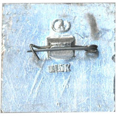 Значок Юрьев  Польский