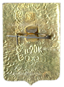 Значок Краснослободск