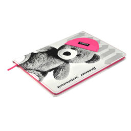 Дневник школьный арт. 68717 / 15 МИШКА В ШАПОЧКЕ