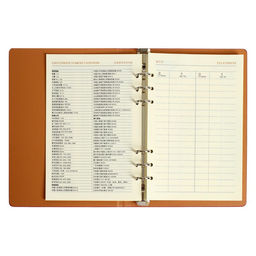 Органайзер на кольцах Престиж А5, 92 листа, в линейку, обложка кожзам, МИКС - Calligrata фото 5