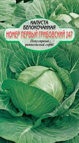 Грибовская №147 капуста б/к 0,5 гр ранняя (ссс) Р