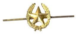 Значок Кокарда Звезда