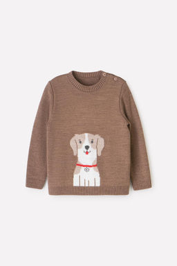 Crockid _ КВ 30121/ш/темно-бежевый джемпер д/мал яс