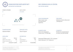 Бусины для украшений из Бирюзы (170 бусин)