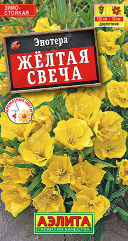 1947A Энотера Желтая свеча 0,2гр
