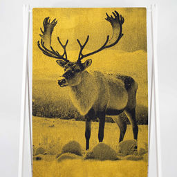 Полотенце махровое 6с102.413ж1 Фото-олень(т.желтый) 81х160см