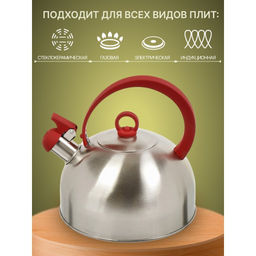 Чайник нерж. сталь, 2.8 л, со свистком, зеркальн., ручка с покр., нейлон, Daniks, индукция GS-04003  фото 9