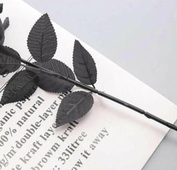 Роза черная одиночная Total Black / Высота 45 см.