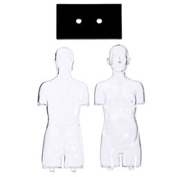 Набор для опытов Строение тела, беременная женщина - Эврики фото 9