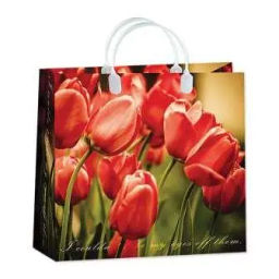 9427 Сумка пластик. BAM 81 (30x30см) средняя Цветы*20