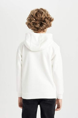 Толстая толстовка с капюшоном и принтом для мальчиков - Defacto фото 6