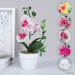 Цветочная композиция Орхидея 24 см / FH467A /уп 24/144/без индивидуальной упаковки - Галеонтрейд фото 13