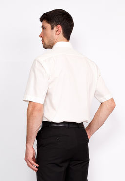 Сорочка мужская короткий рукав GREG 510/301/ALT  фото 8