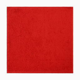 Набор махровых полотенец Этель Санта 30?30 см-4 шт., хл 340 г/м?