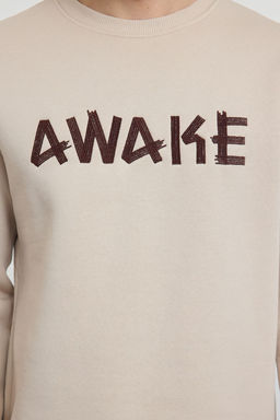 Trendyolmilla Man Tas Oversize/Genis Kesim Ici Polar/S?cak Tutan Yaz? Nak?sl? Sweatshirt TMNAW25SW00061  фото 4
