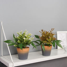 Искусственный цветок в горшке Птицемлечник, 8.5?18 см, МИКС