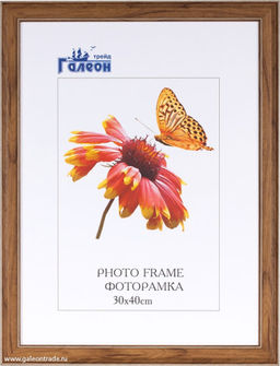 Фоторамка 30х40 / ZR8210H-222411 /
