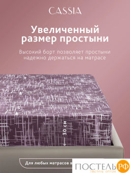 Простыня на резинке CASSIA АДЭМ хлопок-сатин  фото 7