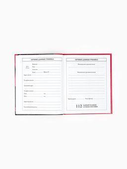 Дневник школьный 1-4 класса, в твердой обложке, 48 л Аниме девушка - Artfox study фото 4