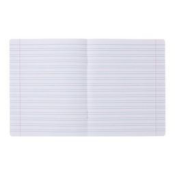 Комплект тетрадей из 10 штук 12 листов в узкую линию Модница, обложка мелованная бумага, ВД-лак, блок офсет - Calligrata фото 2