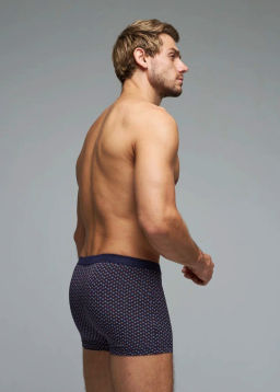 Трусы мужские боксеры Rogers 83147 модал, эластан размеры M, L, XL, 2XL  фото 6