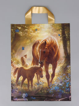 Цена за 50 шт. Пакет подарочный Утро 35 х 28 см 55 мкм