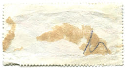 Марка Интеркосмос 1980 год