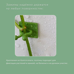 Крепления для вьющихся растений, настенные, самоклеящиеся, Улитка, d=10 мм, набор 10 шт., Greengo фото 6