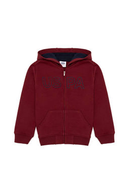 Толстовка с капюшоном для мальчиков Cherry Basic - U.s. polo assn фото 4
