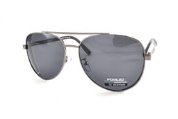 POMILED POLARIZED 08196 C2-31 60-15-139