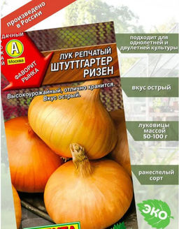 Лук репчатый Штуттгартер ризен 1г
