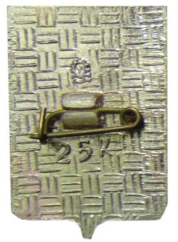 Значок Копейск