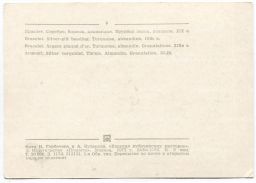 Открытка Браслет.Серебро, бирюза,альмандин. Зернь,позолота XVII-XVIII век.