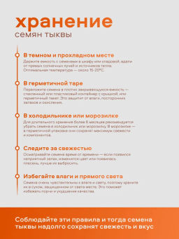 Семена тыквы категория А Nutley  фото 5