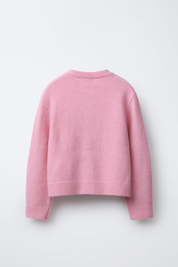 CHAMPION ® X ZARA PATCH CARDIGAN  фото 2