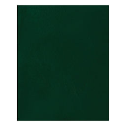 Тетрадь 48л. BG бумвинил, клетка (Т5бв48к_12309) зеленая