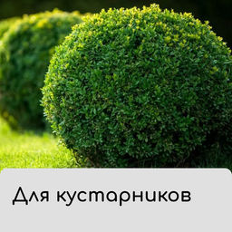 Цена за 3 шт. Чехол для растений, трапеция на шнурках, 75×70 см, спанбонд с УФ-стабилизатором, плотность 60 г/м², Greengo