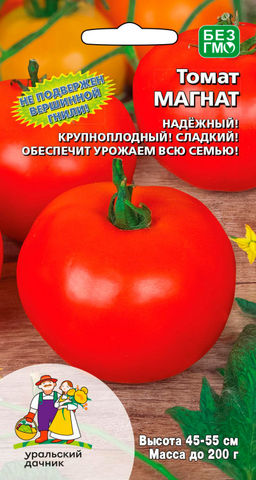Томат МАГНАТ Не подвержен вершинной гнили! Один из самых надёжных сортов! Засухоустойчивый! Сладкие плоды!