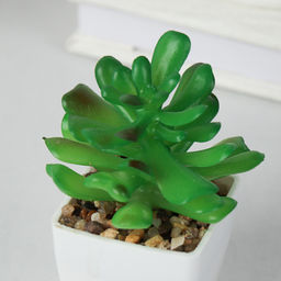 Цветочная композиция Кактус / WER-19 /уп 12/192/ микс - Галеонтрейд фото 25