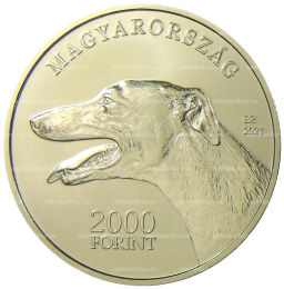 2000 форинтов 2021 года Венгрия  Венгерская борзая