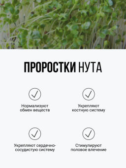 Смесь из ПЯТИ видов проростков БЕЗ ГЛЮТЕНА 150г (зеленая гречка, чечевица, нут, кукуруза, фасоль) (5