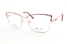 BAOLYN 1021B C5 55-17-140