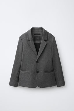 BLAZER TRAJE LISA / Gris vigor?