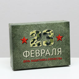 Цена за 5 шт. Подарочная коробка День защитника Отечества, 16.5?12.5?5.2 см