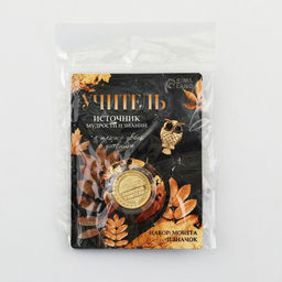 Набор монета и значок Учитель, 7.5 х 10 см - Семейные традиции фото 8