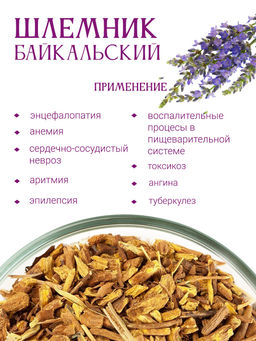 Шлемник байкальский - Травы горного крыма фото 6