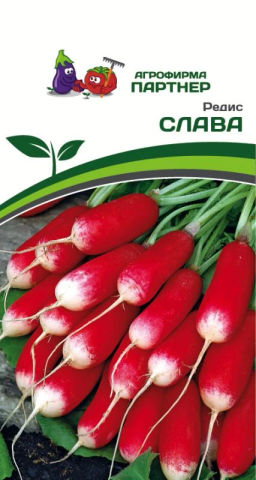 Редис Слава - Партнер фото 2