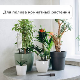 Цена за 3 шт. Автополив для комнатных растений под бутылку, регулируемый, серый, из пластика, высота 16 см, 4 шт.