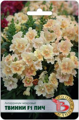 Антирринум махровый F1 Твинни Пич